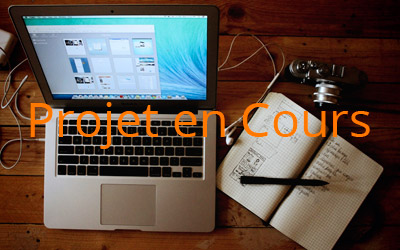 Projet en Cours